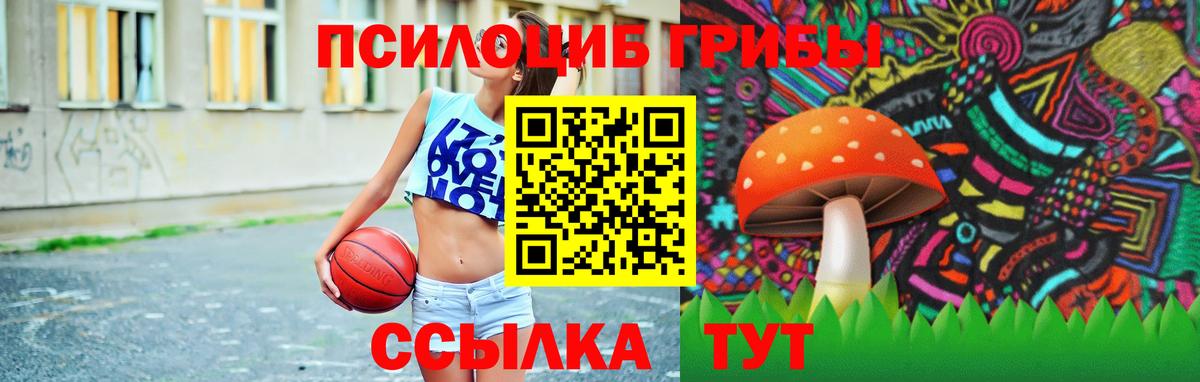 Псилоцибиновые грибы прущие грибы  Вход с VPN  где купить наркотик  Ивантеевка 