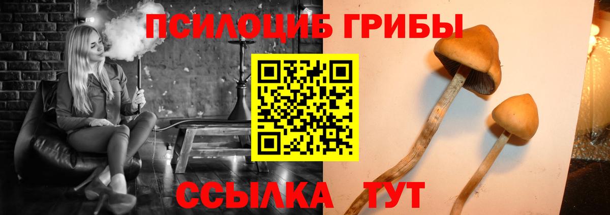 Псилоцибиновые грибы мухоморы Ивантеевка