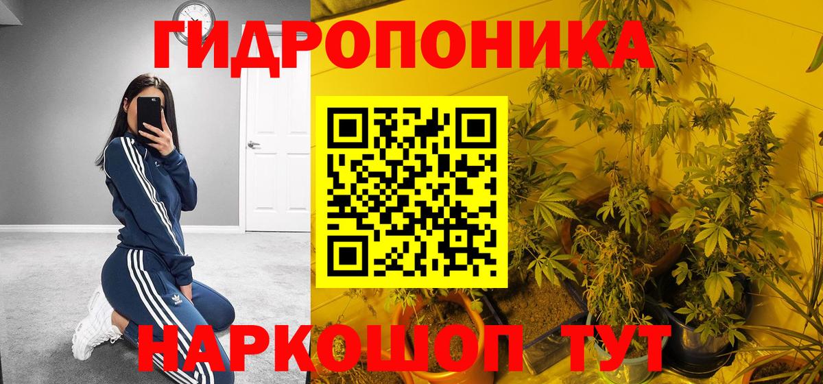 Шишки марихуана Ganja Ивантеевка